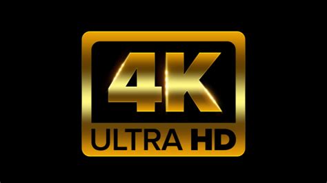 premium quality porn|Category: 4K / UHD Movies